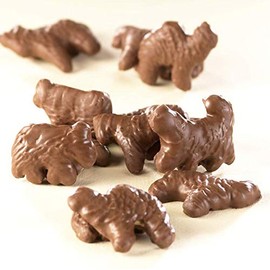 Asher's Chocolate, Chester's Critters, Gourmet Chocolate Covered Animal Crackers, Small Batches of Kosher Chocolate,Family Owned Since 1892 (5oz, Milk Chocolate)