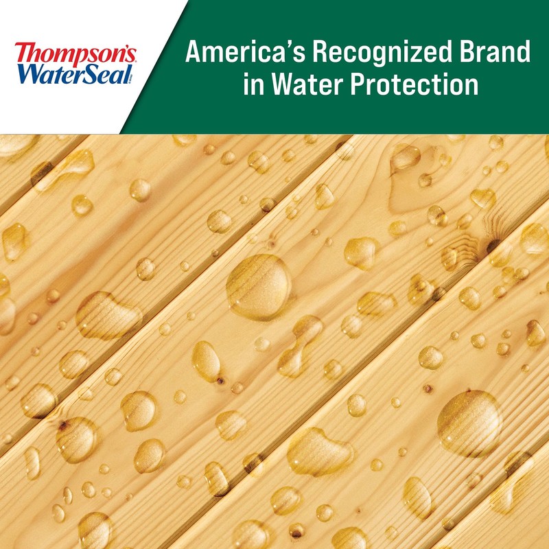 Thompson's WaterSeal Clear Wood Sealer, Clear, 1 Gallon