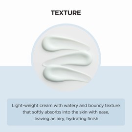 SKIN1004 SKIN1004 Madagascar Centella Hyalu-Cica Moisture Cream 2.53 fl.oz, 75ml