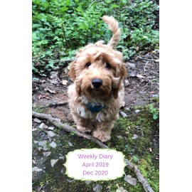 Weekly Diary April 2019-Dec 2020: 6x9 week to a page planner with notes & to do list each week. Extra notes pages included. Perfect for self-employed, ... Cute Cockerpoo with purple back cover