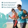 Sea Moss Electrolytes Powder Packets - Hydration Packets Sugar Free