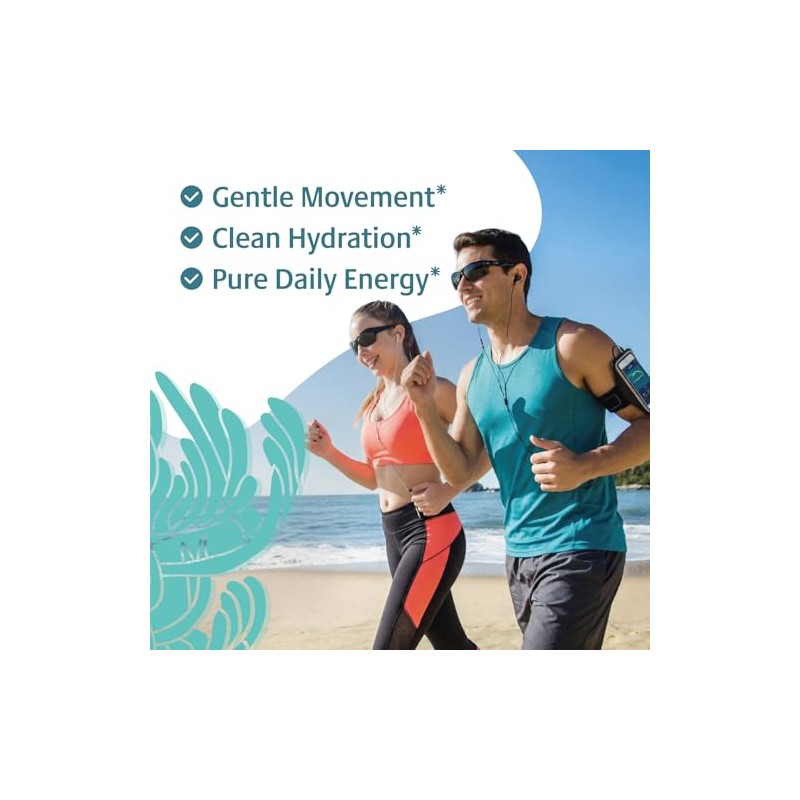 Sea Moss Electrolytes Powder Packets - Hydration Packets Sugar Free