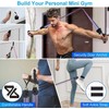 Peacafulife 200 Lbs Resistance Bands Set, Exercise Bands with Door
