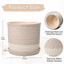 DILATATA White Planter for Indoor Plants 6 Inch Ceramic Plant Pot with Drainage Hole and Attached Saucer Flower Pot Garden Planter Succulent Plant Pot with Bonded Tray Cactus Plant Pot