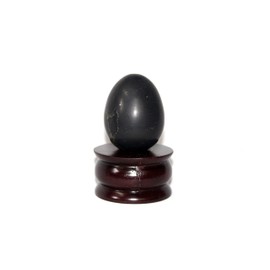 Jet International Shungite Gemstone Egg 45-50 mm A+ Hand Carved Crystal Altar Healing Devotional Focus Spiritual Chakra Cleansing Metaphysical Crystal Therapy Image is JUST A Reference