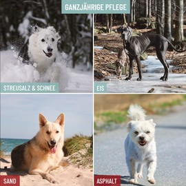 ReaVET Paw Balm Dog 120 ml for Soft Dog Paws - Natural Dog Care with Shea Butter, Coconut Oil & Beeswax, Paw Care Cat, Paw Protection Cream, Accessories Winter & Summer