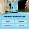 Ready Pet Go! 12-in-1 Complete Multivitamin for Dogs | Dog