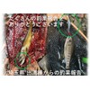 Night Army Fishing Tackle Lure 0.1 oz (2.7 g) Trout