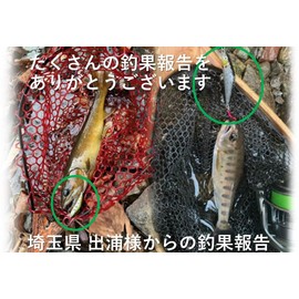 Night Army Fishing Tackle Lure 0.1 oz (2.7 g) Trout Minnow 5 Colors Light Sinking Mountain Stream Minnow