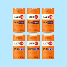 Lactopit Core Max 2g 60 sachets, 6 units, 12 months / 락토핏 코어맥스 2g 60포 6개 12개월