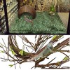 PINVNBY Bearded Dragon Habitat Decor Reptile Hammock Lizard Terrarium Lounger