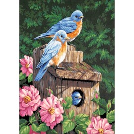 Diamond Painting Kits for Adults, Bird Diamonds Art Kit Funny DIY Painting Gem Kit Gift Wall Art Decor(30x40CM)