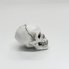 Amyoxu Halloween Skull Head Drawer Pulls Knob,Single Hole Cabinets Handles