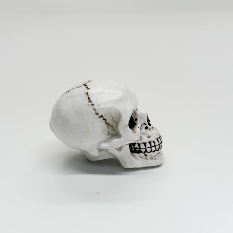 Amyoxu Halloween Skull Head Drawer Pulls Knob,Single Hole Cabinets Handles