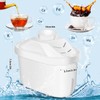 Tujoe 4 Pcs Alkaline Water Filter Replacement Alkaline Water Pitcher