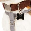 Reddy Grey Reflective Dog Harness, Medium
