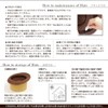 (Tanaka Hat) NOAH UKH005 Made in Japan Straw Medium Folding
