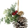 Northlight 13" Frosted Pine Cone with Mixed Foliage Christmas Ornament