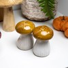 Mushroom Salt & Pepper Shakers Ceramic Hand Painted Toadstool Autumn