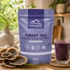 Turkey Tail Polvo 100g Cola Pavo Trametes Versicolor Hongo Adaptógeno