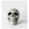 Halloween Skeleton Yard Decoration – 3-Piece Skull & Bone Arm