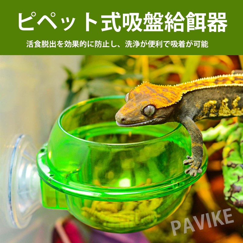 PAVIKE Reptile Feeder, Reptile Feeder, Reptile Feeding Bowl, Reptile Feeding