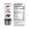 CELSIUS Sparkling Wild Berry, Functional Essential Energy Drink, 12 Fl