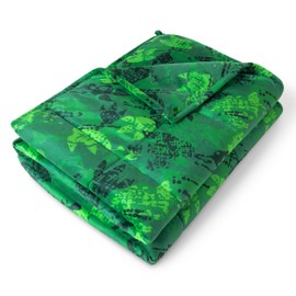 Bare Home Weighted Blanket Twin or Full Size 10lb (40" x 60") - Minky Fleece - Premium Heavy Blanket Nontoxic Glass Beads (Dinosaur, 40"x60")