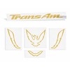 Trans Am Rear Panel Overlay Decal - 93-02 Trans Am