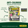 Algoflash Algoflash Naturasol Antichlorose, Nicht anwendbar