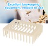 Non-Toxic Bee Cage, Queen Cage, Plastic 20Pcs for Indoor Home