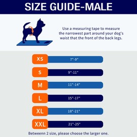 MICOOYO Belly Bands for Male Dogs, 3 Pack Reusable Dog Diapers Male for Puppy Doggie, Washable Male Dog Wraps XSmall (M, Small Animals)