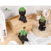 Der Rose 3 Pack Fake Plants Artificial Succulents Plants for