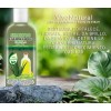 Shampoo Vivenatural Orgánico de Sábila Hidratación de 500 mL