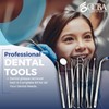 Dental Pick Tools Plaque Tartar Remover Scaler Stainless Steel Dental