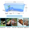 RYPET Turtle Tank Aquarium - Reptile Habitat, Turtle Habitat, Reptile