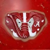 College Bronze Alabama Crimson Tide Storage and Organization Wall Hook