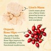 Four Sigmatic Focus Organic Green Tea | Focus Enhancing Tea