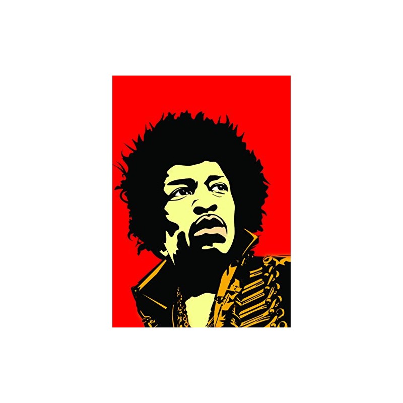 Jimi Hendrix (a4 framed) limited edition print