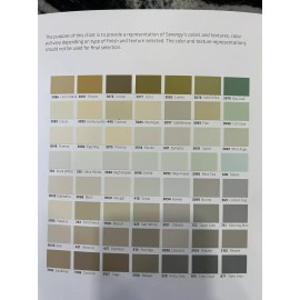 Senergy Stucco Finish Coat - 1 gallon