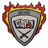 Dark Spark Decals Wizard Class Shield - 1.5" Enamel Pin,