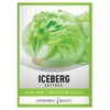 Iceberg Lettuce Seeds for Planting - (Head) Heirloom, Non-GMO Vegetable Variety- 2 Grams Seeds Great for Spring, Summer, Fall, Winter Garden and Hydroponics by Gardeners Basics