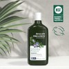 Avalon Avalon Shampoo Rosemary, 11 Ounce