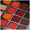 DAIZYKAT COSMETICS CALI ORANGE THE FORBIDEN FRUIT COLLECTION EYESHADOW PALETTE