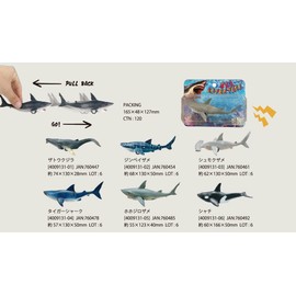 Maruwa Boeki Pull Back Car Great White Shark Size: Approx. W2.2 x D4.8 inches (5.5 x 12.3 x 4 4009131-05 cm)