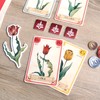Tulip Bubble Tulip Bubble Japanese Edition | Moaideas Game Design