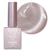 From the Nail MAGNET GEL, FG 229, 10g, 1 piece / 프롬더네일 MAGNET GEL, FG 229, 10g, 1개