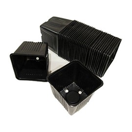 Gage Durapot Square Plastic Nursery Pots, 3-1/2" - Qty. 25