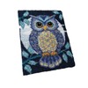 Perfeclan Owl Latch Hook Craft Kit Festival Gift 20x14inch for