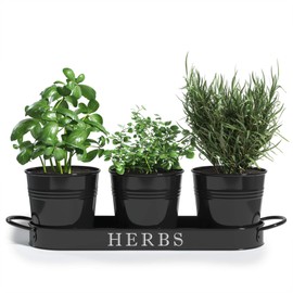 Barnyard Designs Herb Pot Planter Set with Tray for Indoor Garden or Outdoor Use, Decorative Black Metal Succulent Potted Planters for Kitchen, (Set of 3, 4.25” x 4” Planters on 12.5” x 4" Tray)